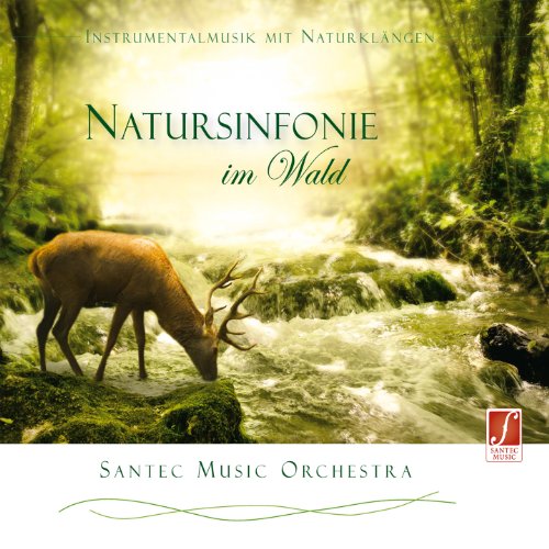 CD Natursinfonie im Wald von Santec Music