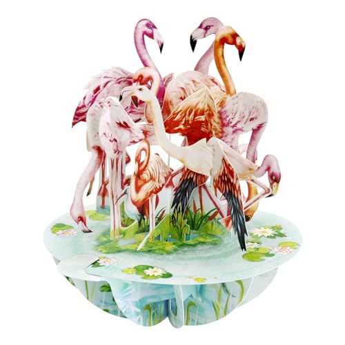 Santoro Pirouette 3D Pop Up Grußkarte Flamingos Vogelbeobachtung Geschenk für Mädchen Frauen Geburtstag Muttertag von Santoro