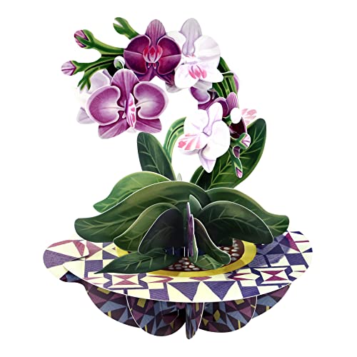 Santoro Pirouette 3D Pop Up Grußkarte - Orchidee - Geburtstagsgeschenk für sie, Mutter, Tochter, Ehefrau, Freundin | Jahrestag, Thinking of You, Dankeskarte | Blumenkarte zum Muttertag von Santoro