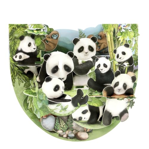 Santoro Popnrock, 3D-Pop-Up-Grußkarte – Pandas – Für Sie, Ihn, Kinder, Mädchen | Panda-Geburtstagskarte von Santoro