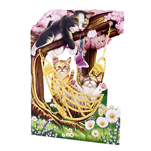 Santoro Schaukelkarte, 3D-Pop-Up-Grußkarte – Katzen in einer Hängematte – für Sie, für Mädchen, für Mama, Geburtstag (Mehrfarbig, 14,5 x 20 cm) von Santoro
