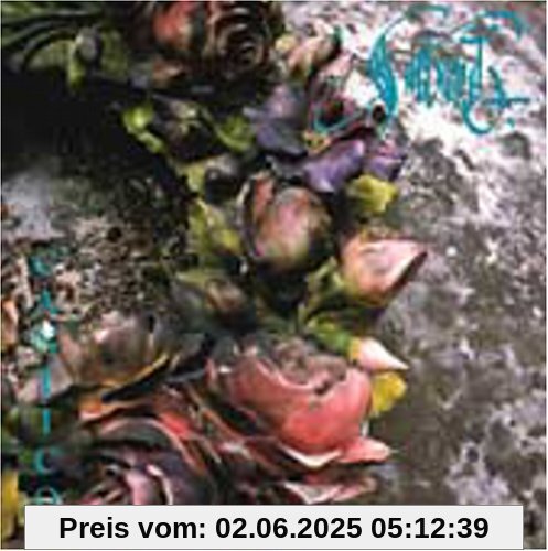 New Impression - Cantico von Sarband