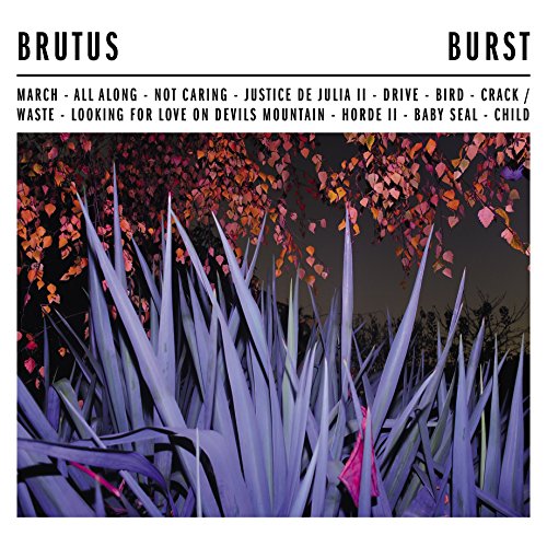 Burst [Vinyl LP] von Sargent House