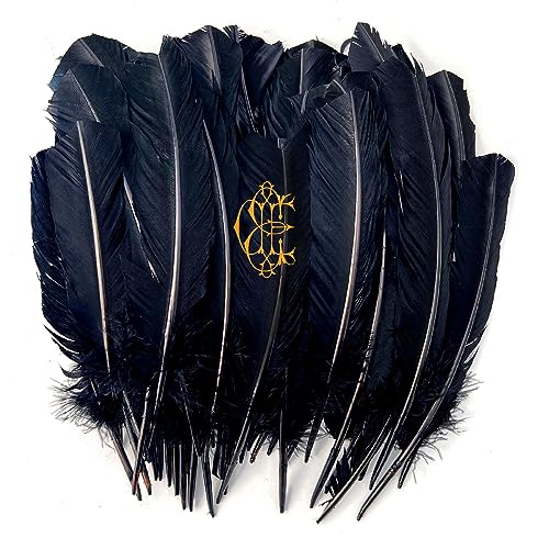 Hyacinth [Vinyl LP] von Sargent House