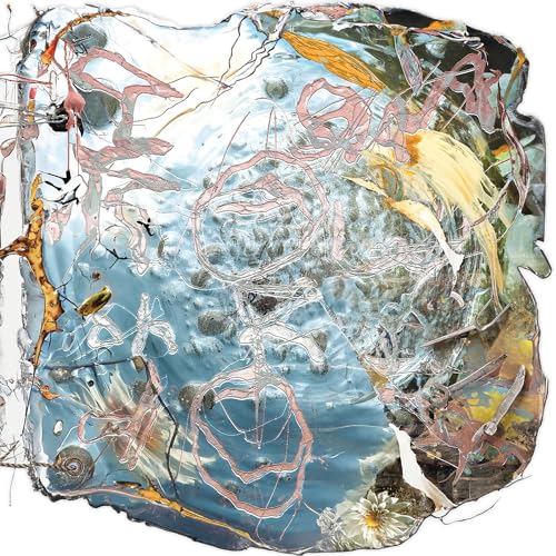 I Am Toward You [Vinyl LP] von Sargent House