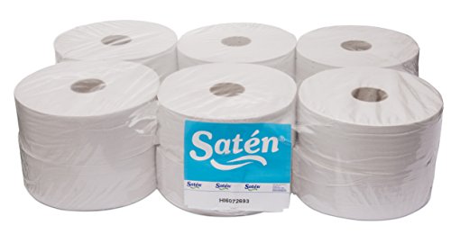 Hängelampe hi6072693 hygienisch Industrial recyceltem, Zellstoff, 2 lagig, glatt, Breite 90, 300 m (12-er Pack) von Saten