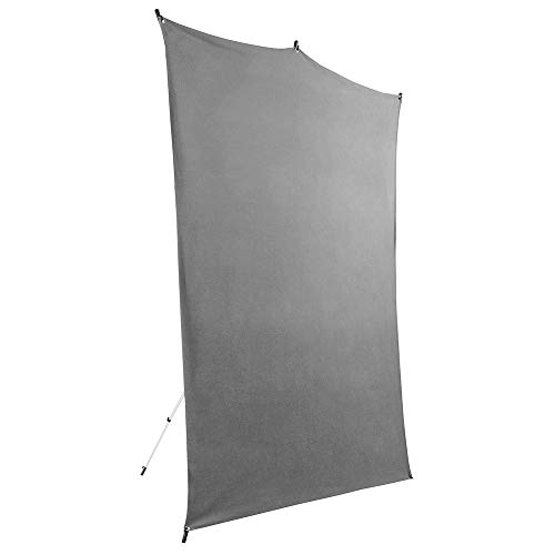 Savage Reise Backdrop Set, Grauer Boden Backdrop, Größe 1.52m x 2.13m, Fotokulisse mit Aluminiumständer, Tragetasche mit Schulterriemen von Savage