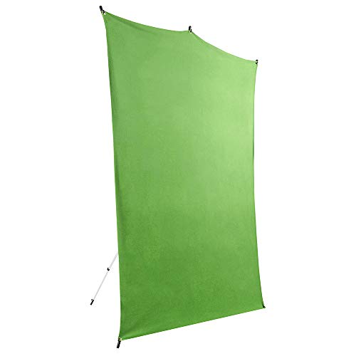 Savage Reise Backdrop Set, Grüner Boden Backdrop, Größe 1.52m x 2.13m, Fotokulisse mit Aluminiumständer, Tragetasche mit Schulterriemen von Savage