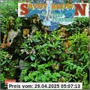 A Step Further von Savoy Brown