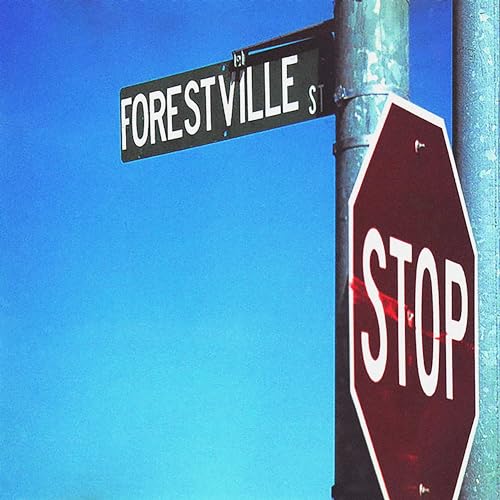 924 Forestville St. (col. Vinyl) [Vinyl LP] von 99999 (Broken Silence)