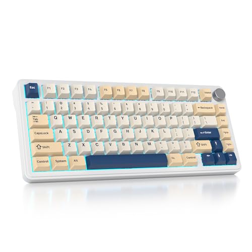 SbocKeeb 75% Prozent Tastatur Wireless mit Gasket, TKL Wireless Mechanische Gaming Tastatur Bluetooth/2.4 GHz/USB, America QWERTY, Vorgeschmierte Schalter für PC Mac Win, M75-Soy Milk von SbocKeeb