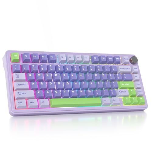 SbocKeeb 75% Prozent Tastatur Wireless mit Gasket, TKL Wireless Mechanische Gaming Tastatur Bluetooth/2.4 GHz/USB, America QWERTY, Vorgeschmierte Schalter für PC Windows M75-Lavender von SbocKeeb