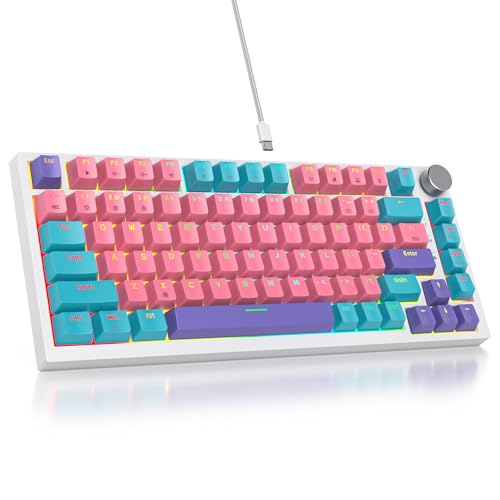 SbocKeeb Custom Gaming Tastatur 75 Prozent Hot-Swap,kabelgebundene Mechanische RGB Tastatur mit Dichtung und Schall absorbierenden Pads Programmierbare Amerikanische QWERTY V400 Zhi von SbocKeeb