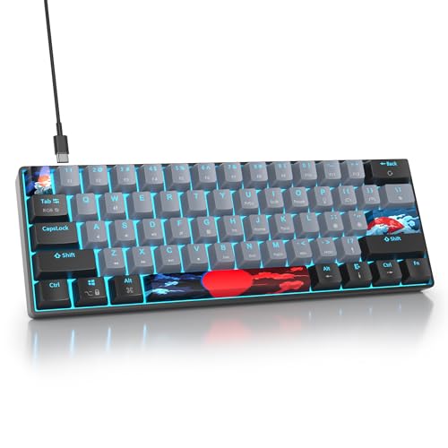 SbocKeeb Gaming Tastatur 60 Prozent, Wired RGB Mechanische Tastatur America QWERTY, Mini 61 Tasten USB Tastatur Anti-Ghosting für PC Gamer Typist（GS61 RGB-61 Dolch） von SbocKeeb