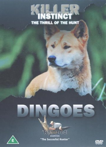 Killer Instinct - Dingoes [DVD] von Scanbox Entertainment