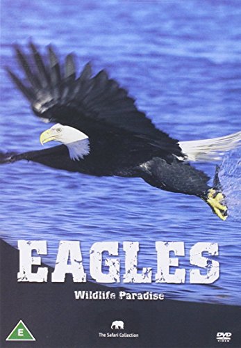 Wildlife Paradise - Eagles [DVD] [UK Import] von Scanbox Entertainment