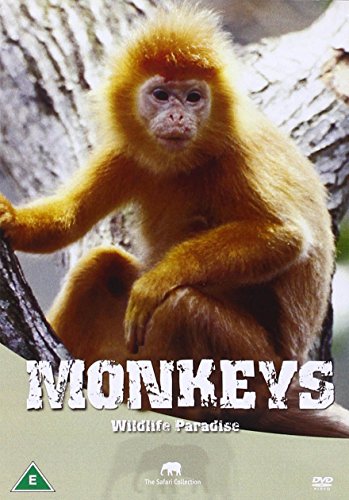 Wildlife Paradise - Monkeys [DVD] [UK Import] von Scanbox Entertainment