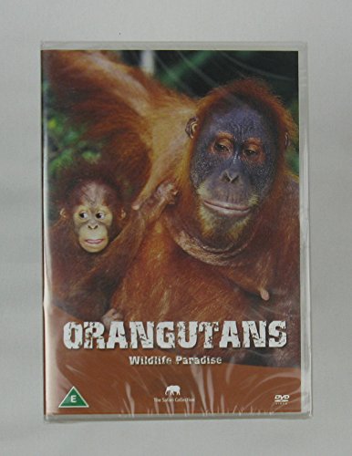 Wildlife Paradise - Orangutans [DVD] von Scanbox Entertainment
