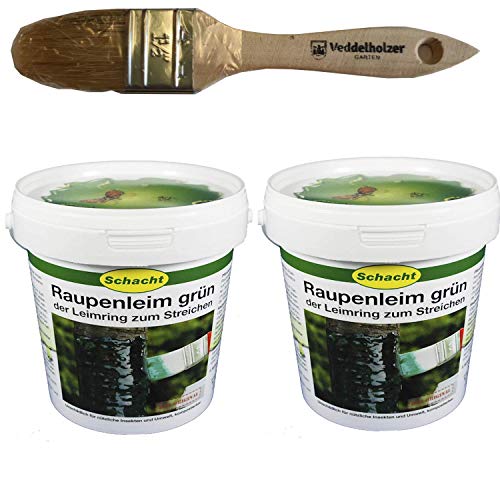 Schacht Raupenleim 2kg Eimer + Veddelholzer Marken-Pinsel 35mm Breit Leimringe für Obstbäume als Baumschutz Baumleimring zum streichen auch Insektenleim genannt Schacht Raupenleim 2kg Eimer + Veddelholzer Marken-Pinsel 35mm Breit Leimringe für Obstbäume als Baumschutz Baumleimring zum streichen auch Insektenleim genannt von Schacht
