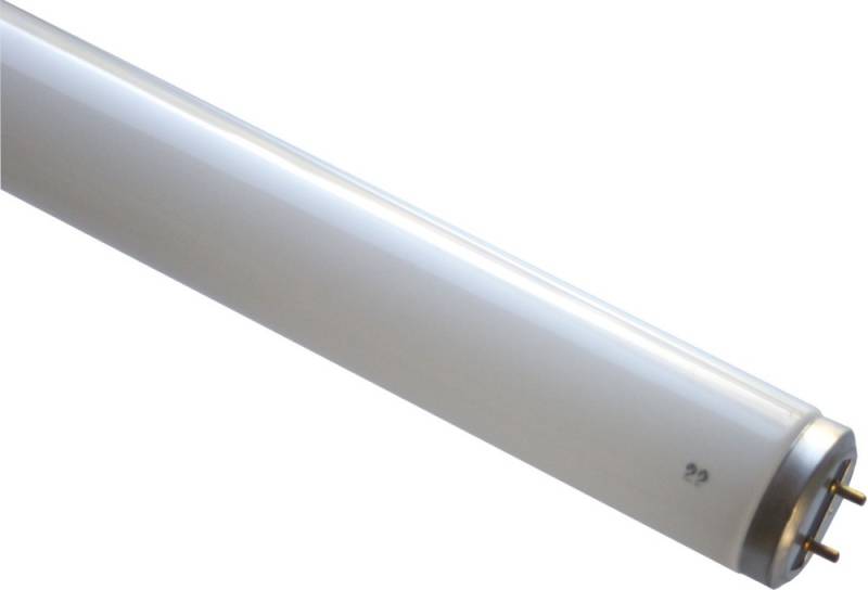 Scharnberger+Hasenbein Leuchtstofflampe T12 44148 von Scharnberger+Hasenbein