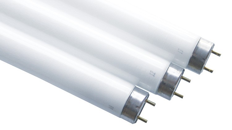 Scharnberger+Hasenbein Leuchtstofflampe T8 44143 von Scharnberger+Hasenbein