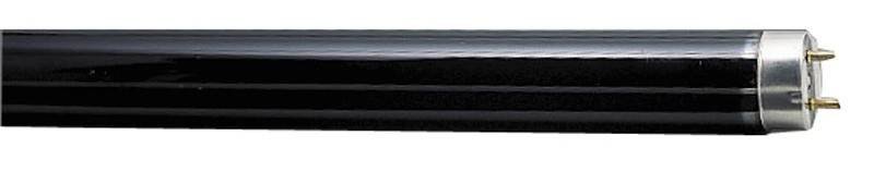 Scharnberger+Hasenbein Leuchtstofflampe T8 68019 von Scharnberger+Hasenbein