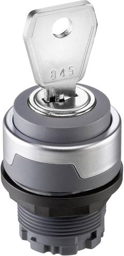 Schlegel RMCSSA24E RONDEX M RMCSSA24E Schlüsselschalter Anthrazit 2 x 45° 10St. von Schlegel