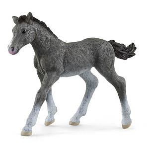 Schleich® Horse Club 13944 Trakehner Fohlen Spielfigur von Schleich®