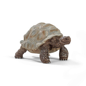 Schleich® Wild Life 14824 Riesenschildkröte Spielfigur von Schleich®