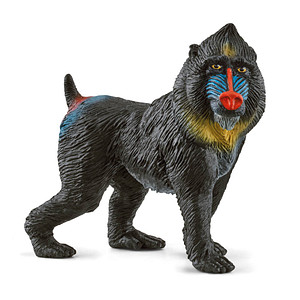 Schleich® Wild Life 14856 Mandrill Spielfigur von Schleich®