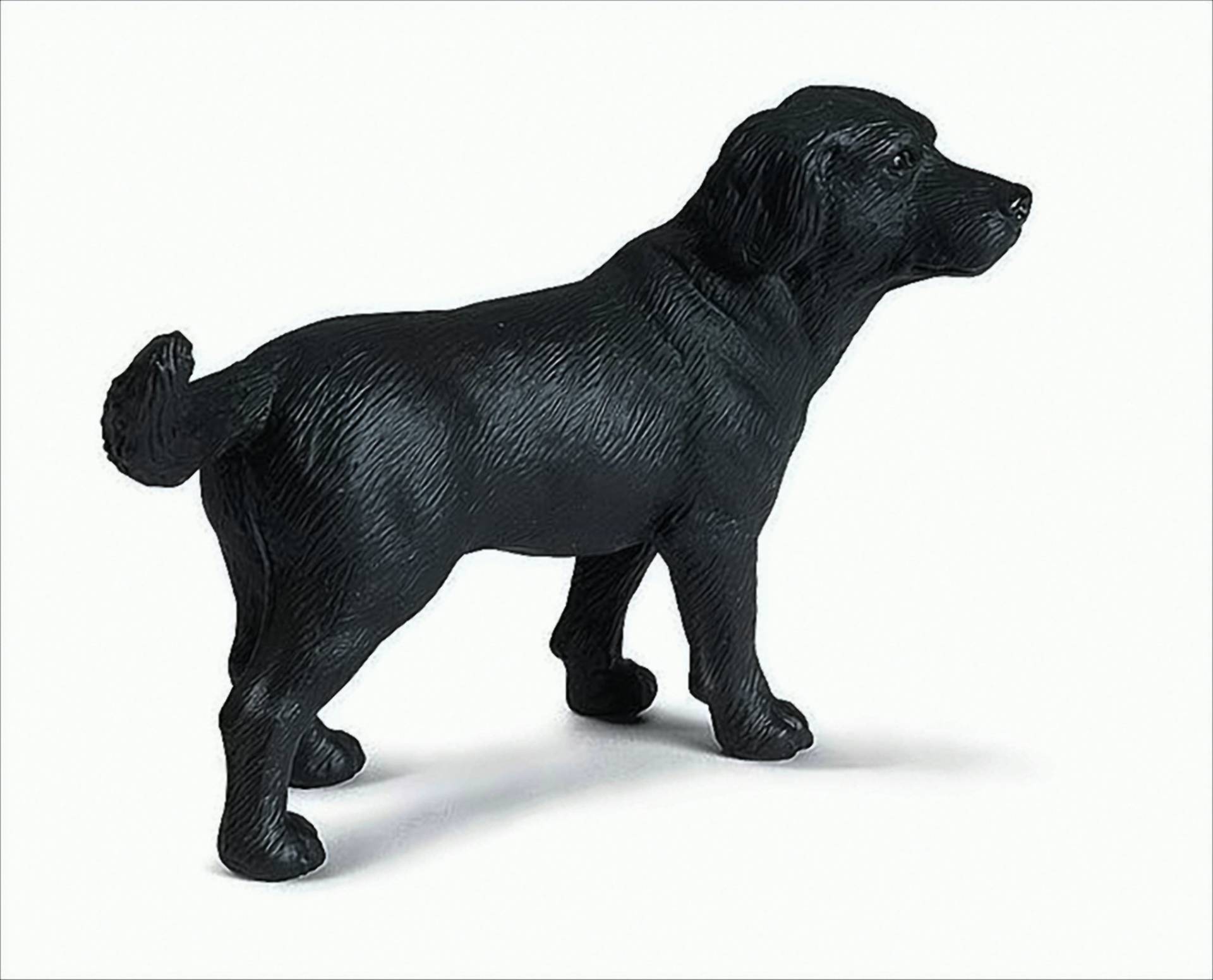 Schleich 16327 Labrador, schwarz von Schleich