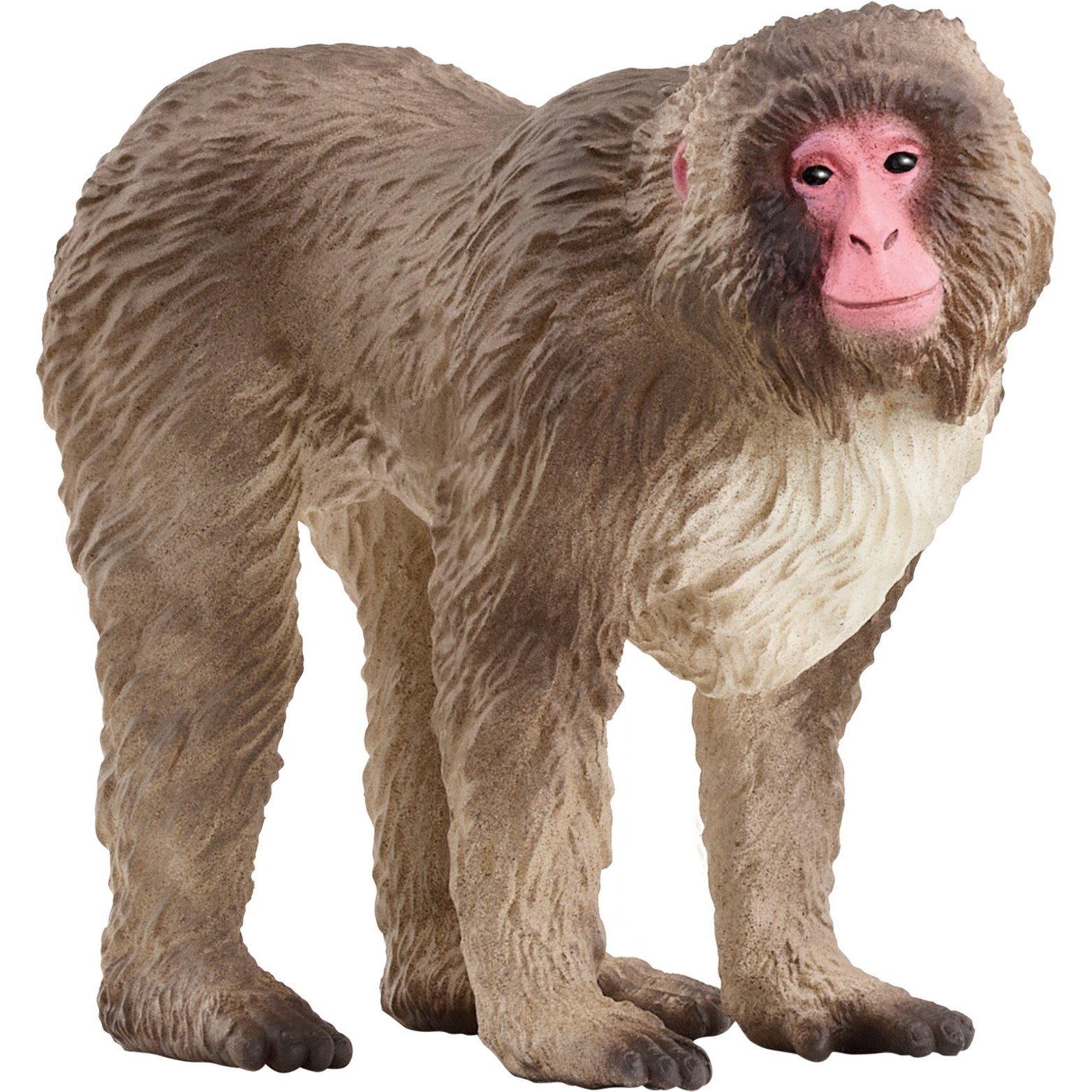 Wild Life Japanmakak, Spielfigur Wild Life Japanmakak, Spielfigur von Schleich