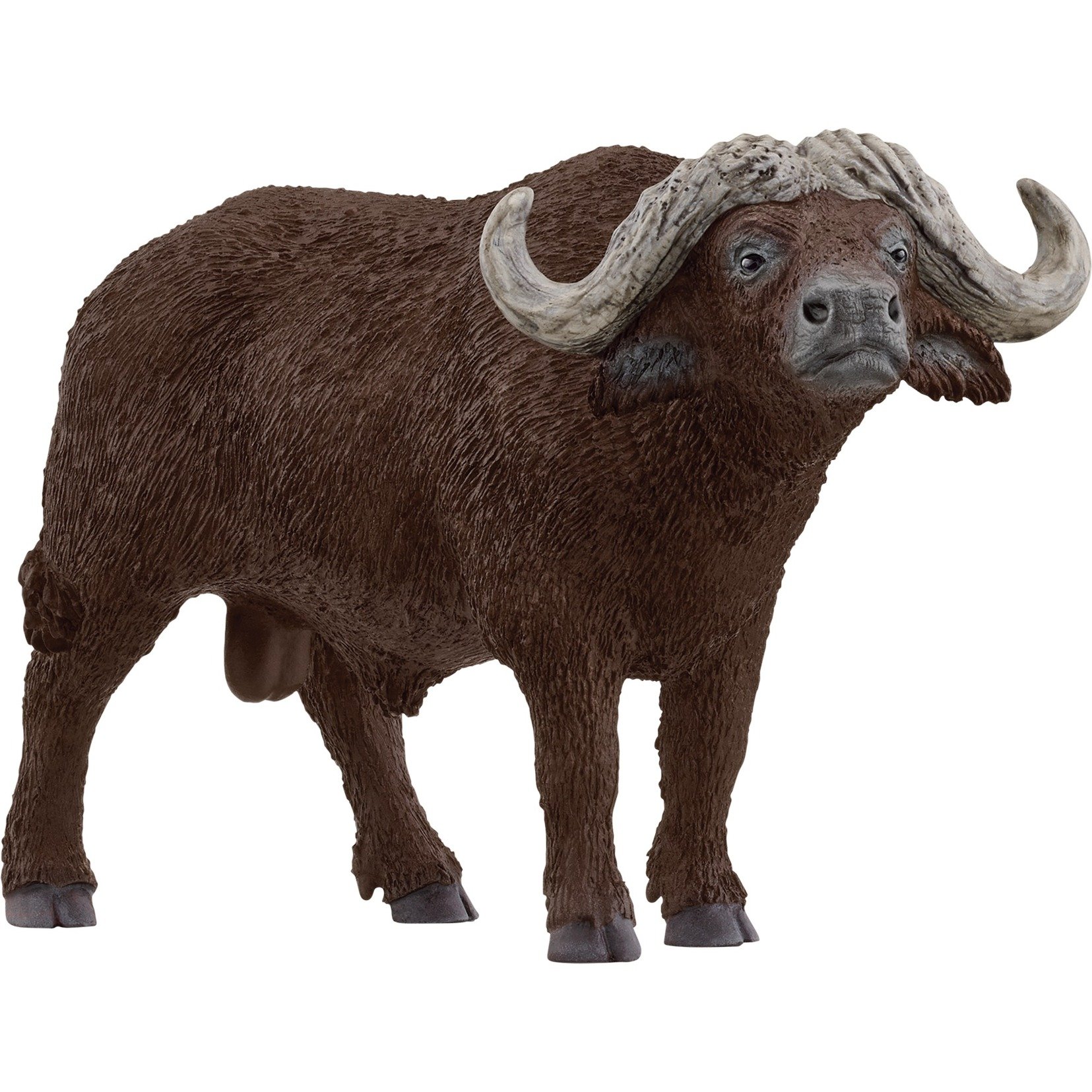 Wild Life Kaffernbüffel, Spielfigur Wild Life Kaffernbüffel, Spielfigur von Schleich