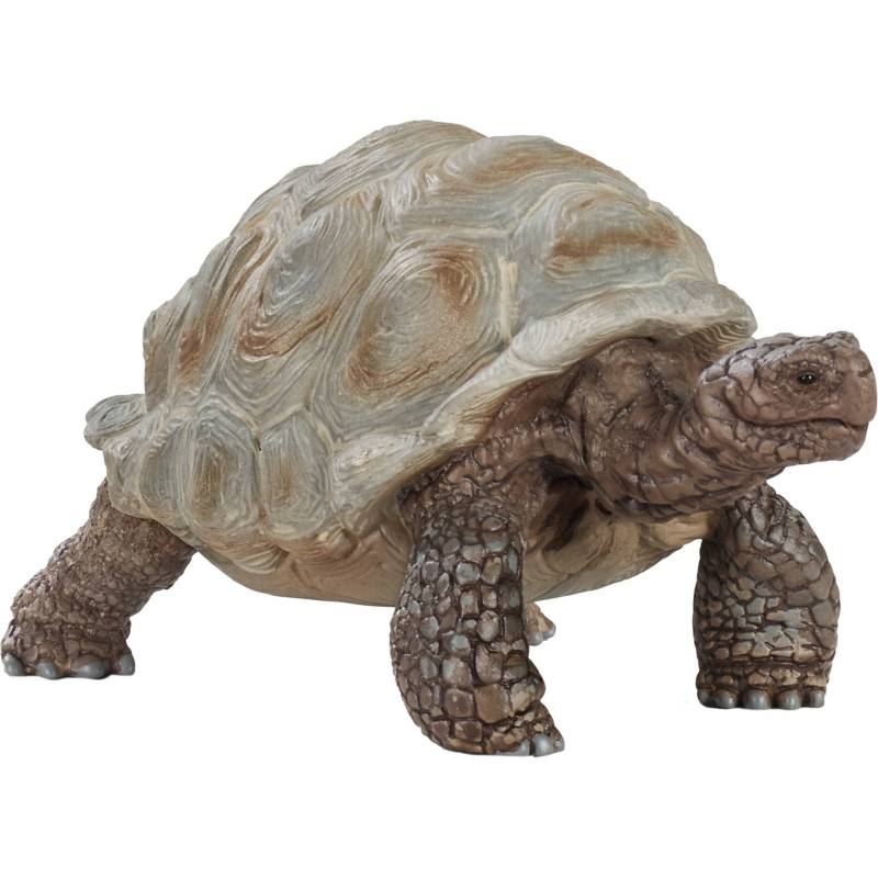 Wild Life Riesenschildkröte, Spielfigur von Schleich