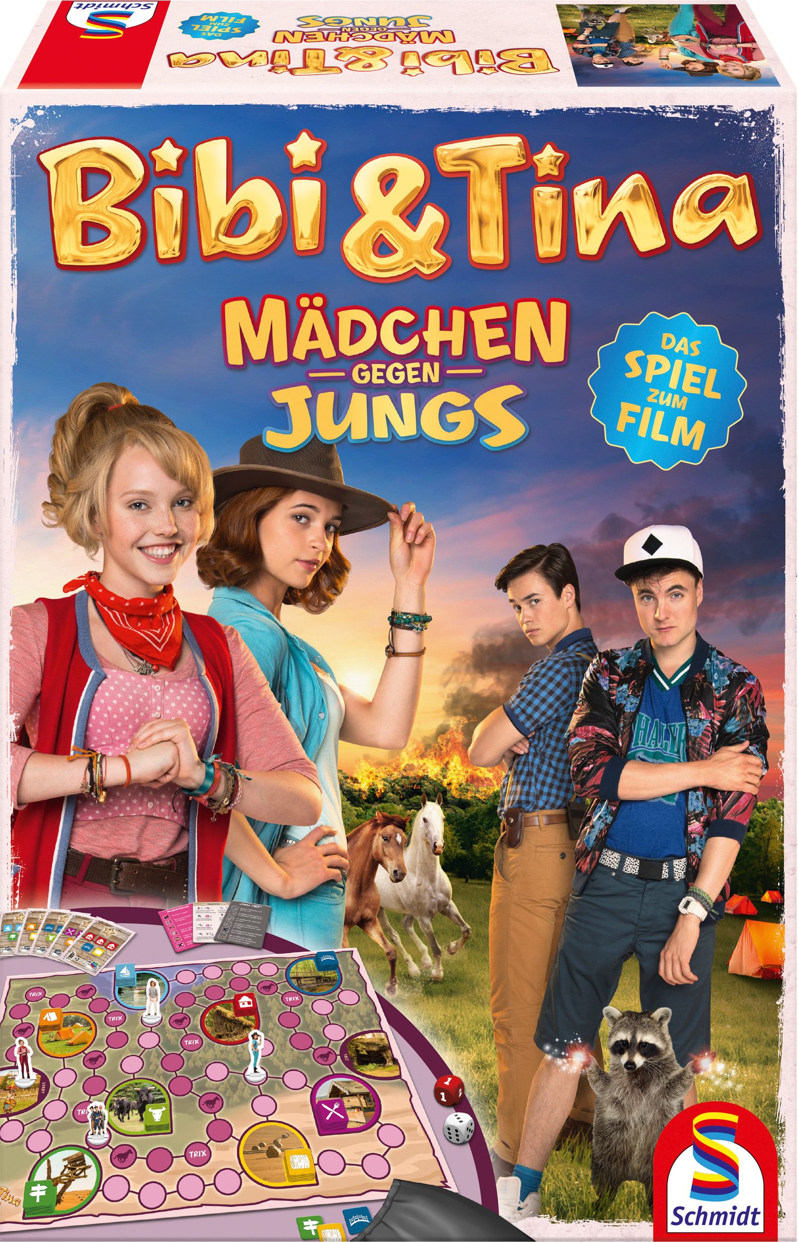 Bibi & Tina Mädchen gegen Jungs von Schmidt Spiele