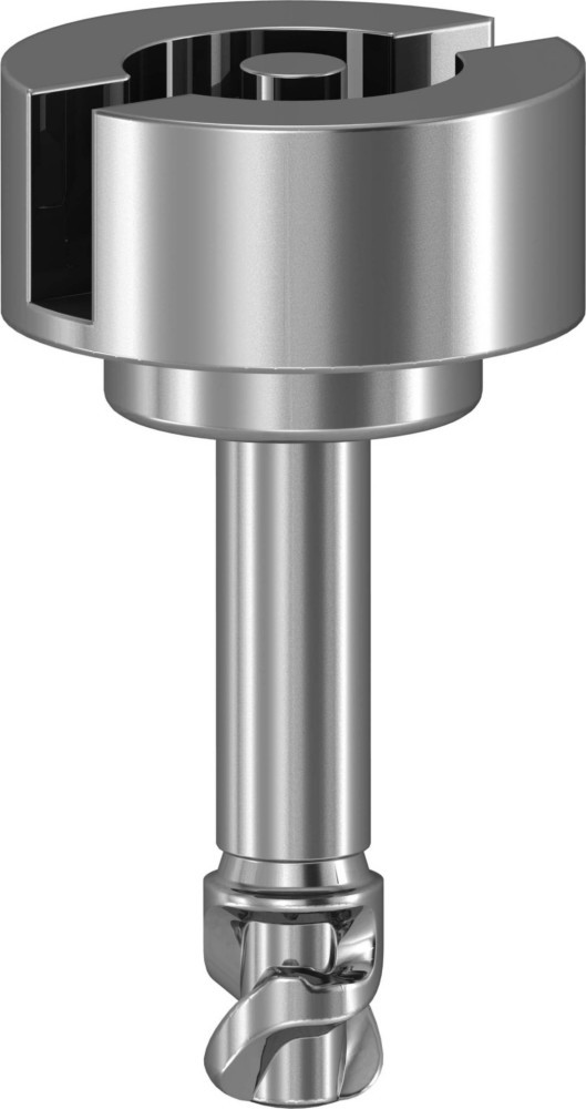 Schneider Electric Doppelbart-Schraube NSYAEDSBSB von Schneider Electric