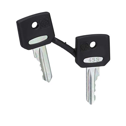 Schneider Electric Ersatzschlüssel für Schlüsselschalter ZBG455 | Verpackungseinheit: 2 Stück | PCE | Green Premium Produkt Schneider Electric Ersatzschlüssel für Schlüsselschalter ZBG455 | Verpackungseinheit: 2 Stück | PCE | Green Premium Produkt von Schneider Electric