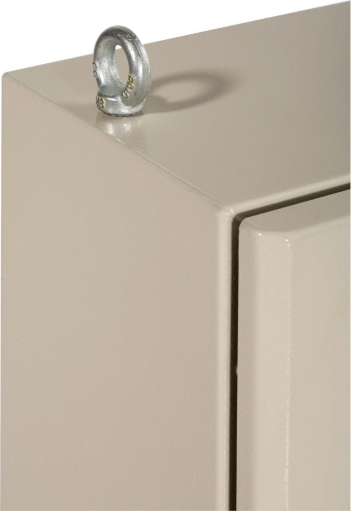 Schneider Electric Kranösen NSYAELYTCRG8 (VE2) von Schneider Electric