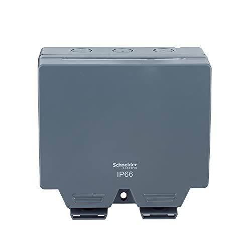 Schneider Electric Lisse Wetterfeste LWP3020 Doppelsteckdose IP66 von Schneider Electric