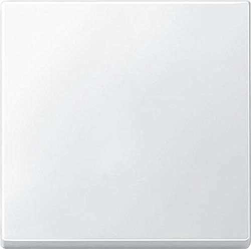 Schneider Electric Merten 434119 Wippe für Schalter, polarweiß, System M von Schneider Electric