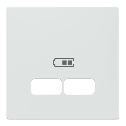 Schneider Electric Merten MEG4367-0325 Zentralplatte für USB Ladestation-Einsatz, aktivweiß glänzend, System M von Schneider Electric