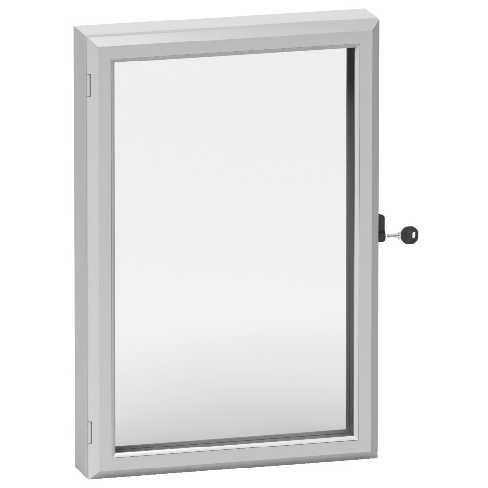 Schneider Electric Steuerfenster IP55 NSYCW46 von Schneider Electric
