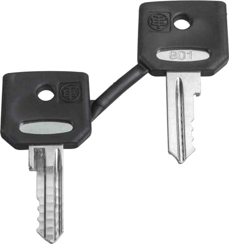 JUEGO DE 2 LLAVES N³ 8D1 JUEGO DE 2 LLAVES N³ 8D1 von Schneider