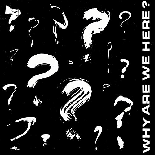 7-Why Are We Here? [Vinyl Single] von Schoolkids (H'Art)