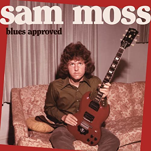 Blues Approved [Vinyl LP] von Schoolkids (H'Art)