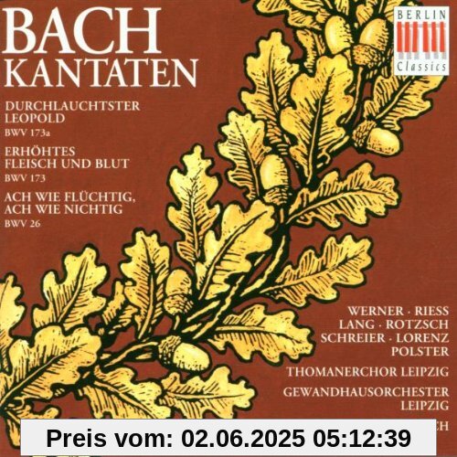 Kantaten von Schreier