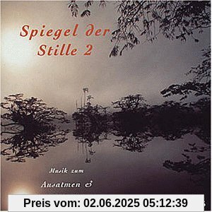 Spiegel der Stille 2 von Schreier