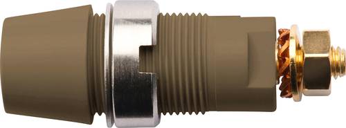 Schützinger DI SAB 6922 Au / BR Sicherheits-Aufbaubuchse Braun 10St. Schützinger DI SAB 6922 Au / BR Sicherheits-Aufbaubuchse Braun 10St. von Schützinger