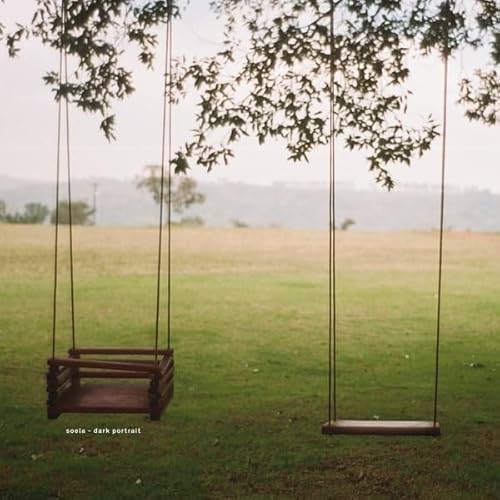 Dark Portrait (Lp) [Vinyl LP] von Victrola