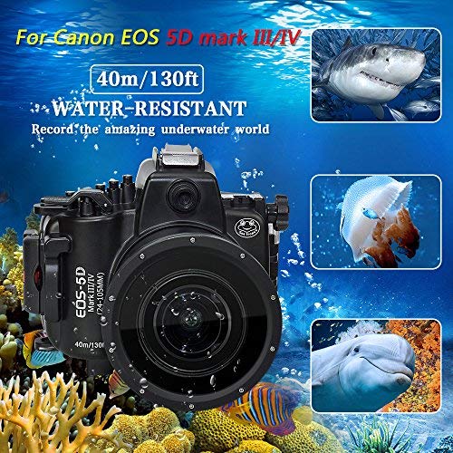 Unterwasser-Kameragehäuse für Canon EOS 5D Mark III und 5D Mark IV, wasserdicht bis zu Einer Tauchtiefe von 40 m von Sea frogs